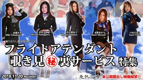 空姐偷窺特勤局特輯：中出、顏射、玩具高潮！